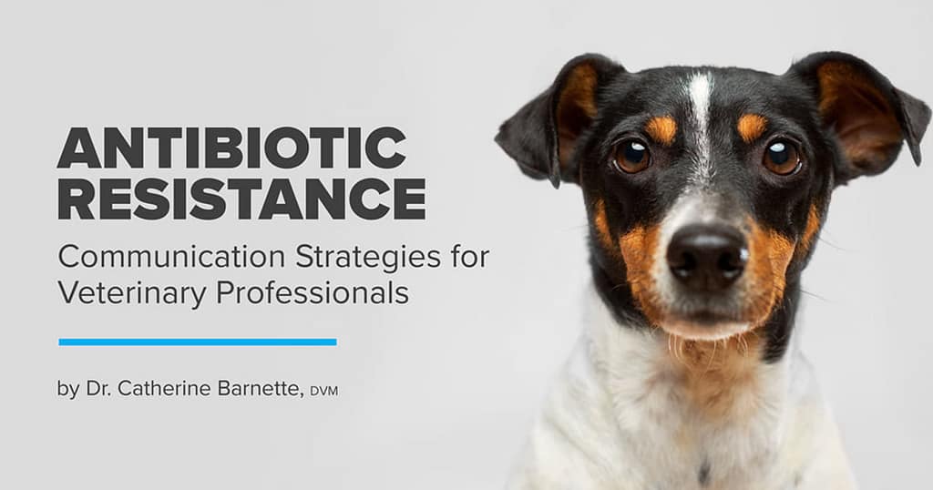 Antibiotic Resistance