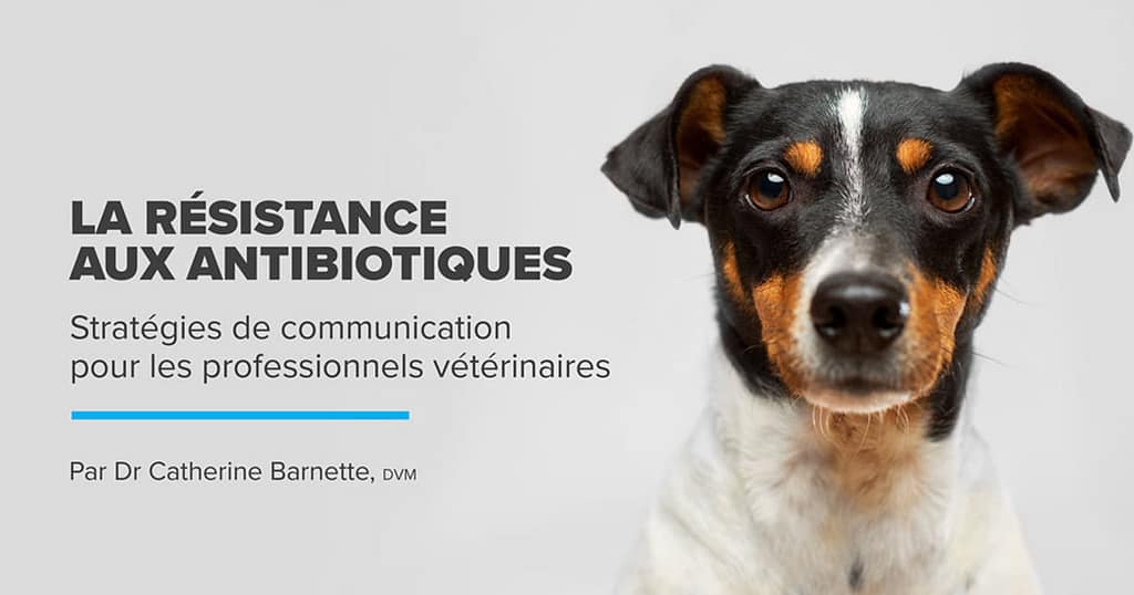 Résistance aux antibiotiques