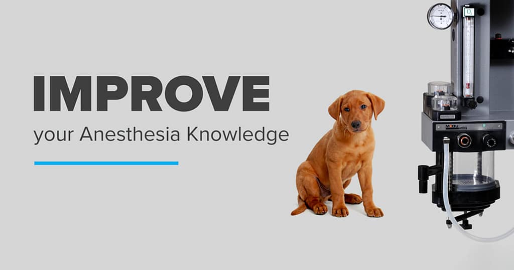 Improve your Anesthesia Knowledge