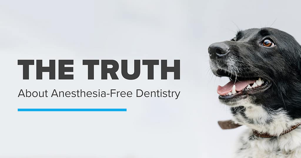 Anesthesia Free Dentistry
