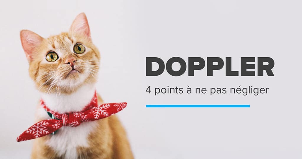 Doppler Guide d'Entretien
