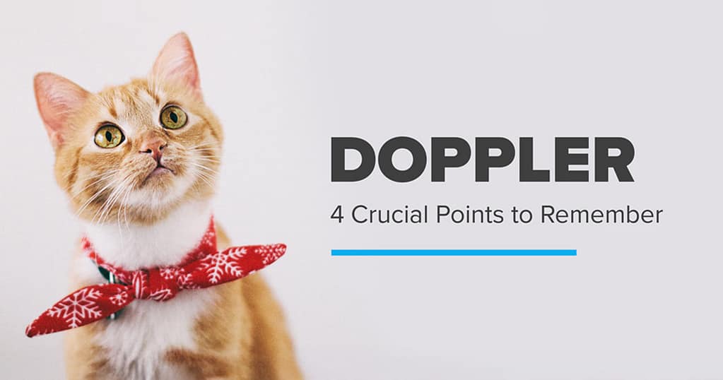Doppler Maintenance Guide