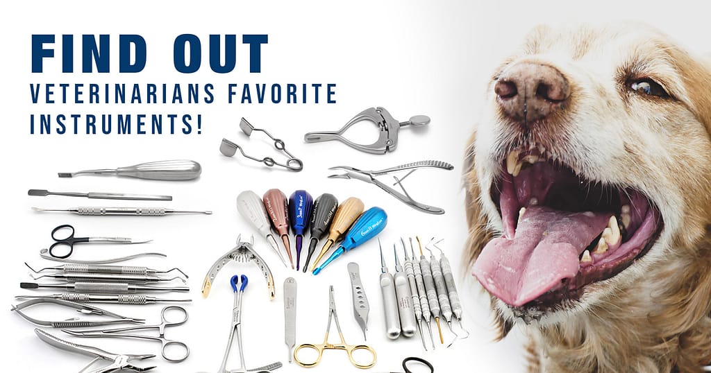 Dental Instruments Guide