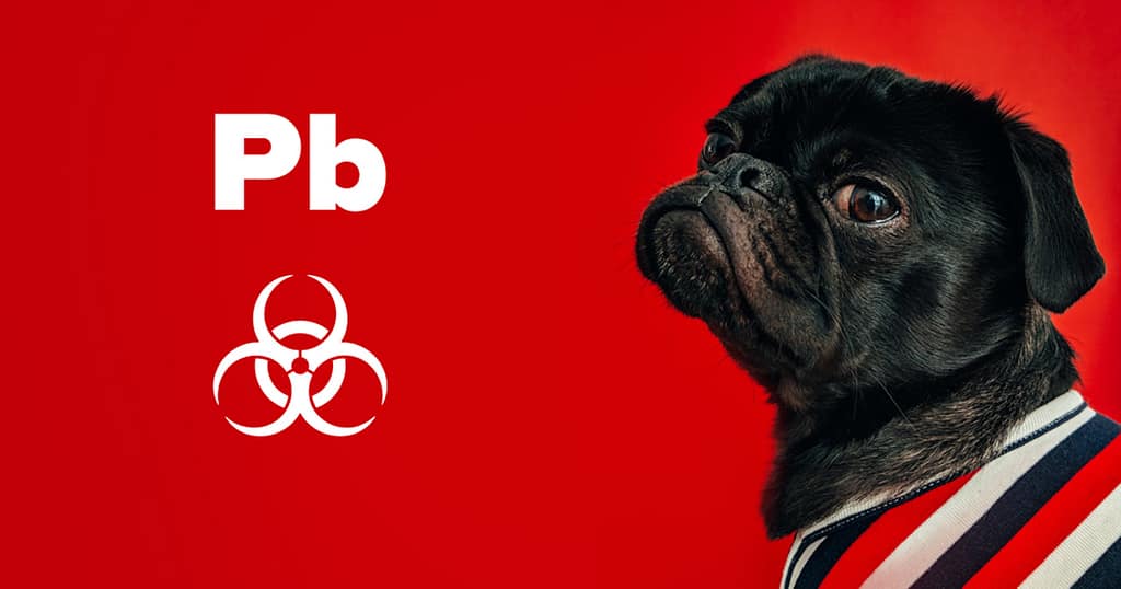 PB X-Ray