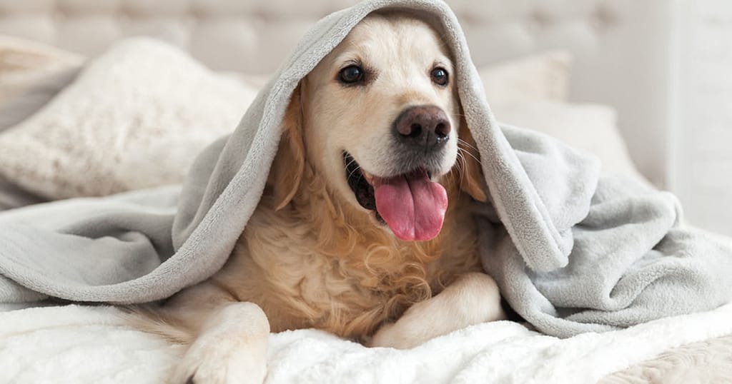 How to reduce hypothermia risks when performing a surgery under anesthesia