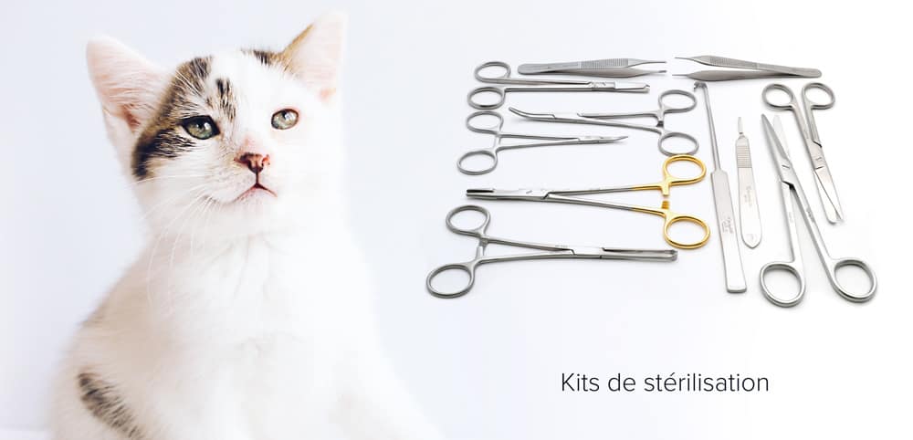 kits d’instruments de stérilisation