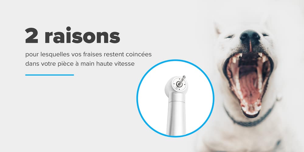 2 raisons pour lesquelles vos fraises restent coincées