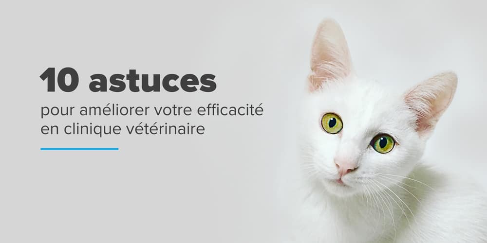10 astuces pour améliorer l'efficacité