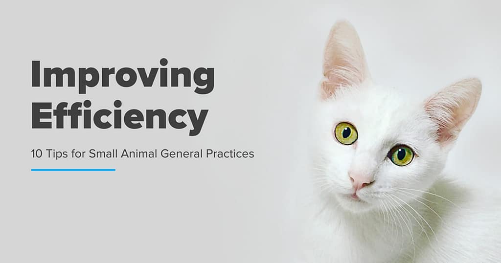 Improving Efficiency in your Practice