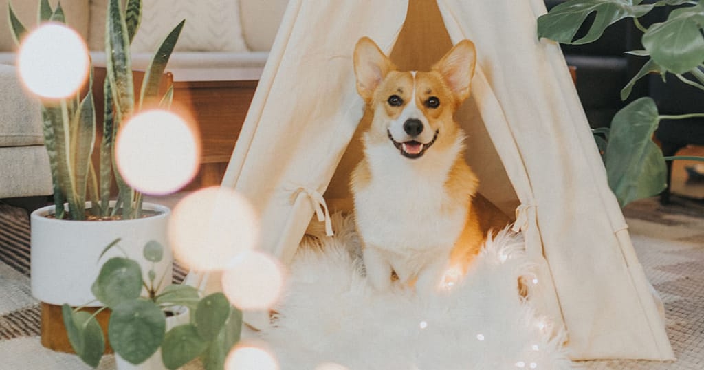 Ever had doubts about your dream project