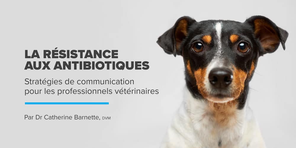 Résistance aux antibiotiques