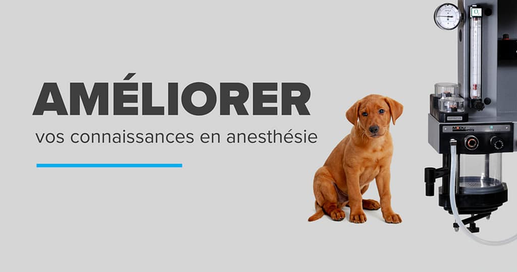 Améliorer vos connaissances en anesthésie