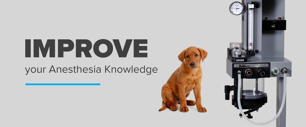 Improve your Anesthesia Knowledge