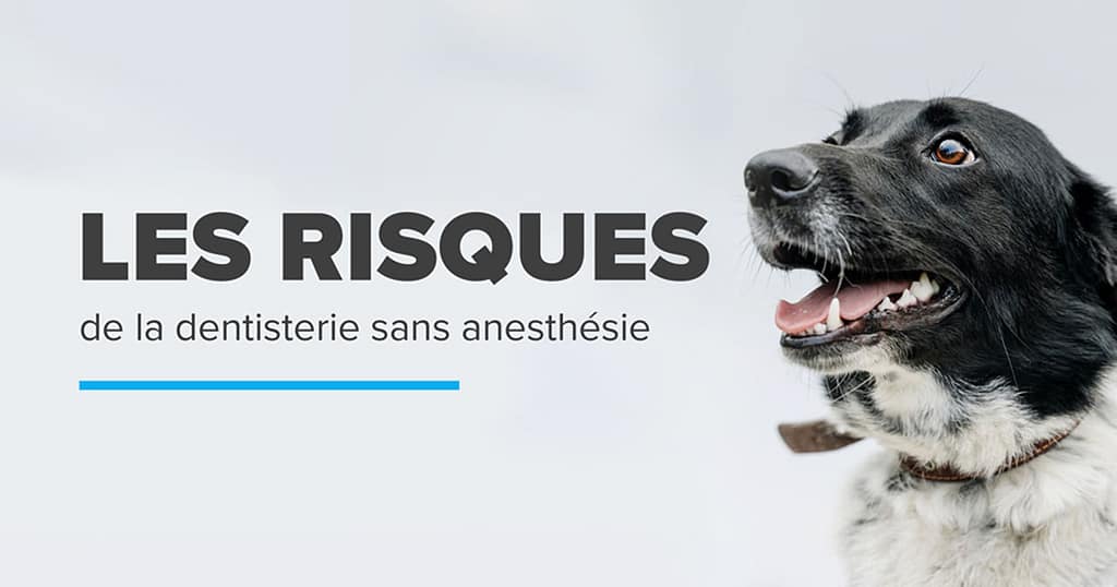 Dentisterie sans anesthésie