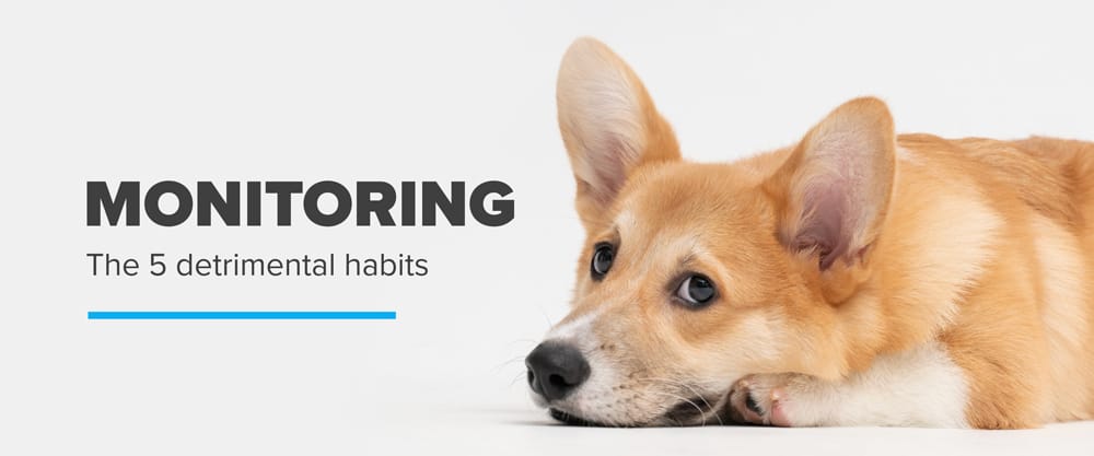 Monitoring the 5 detrimental habits