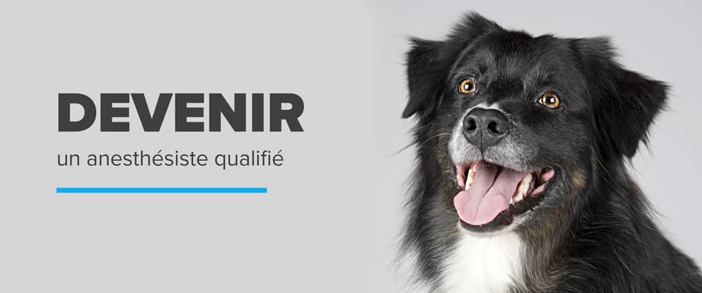 Devenir Anesthétiste