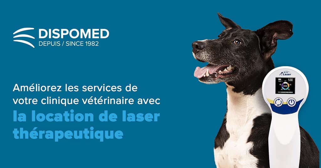Présentation du programme de location de laser pour animaux de compagnie