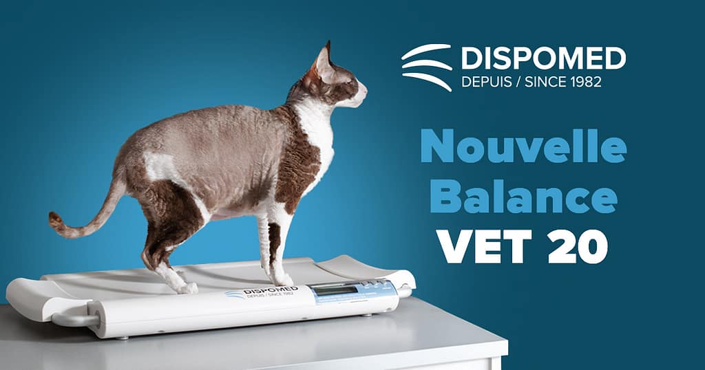 Nouvelle balance VET 20 : une solution précise et pratique pour la pesée des chats et petits animaux