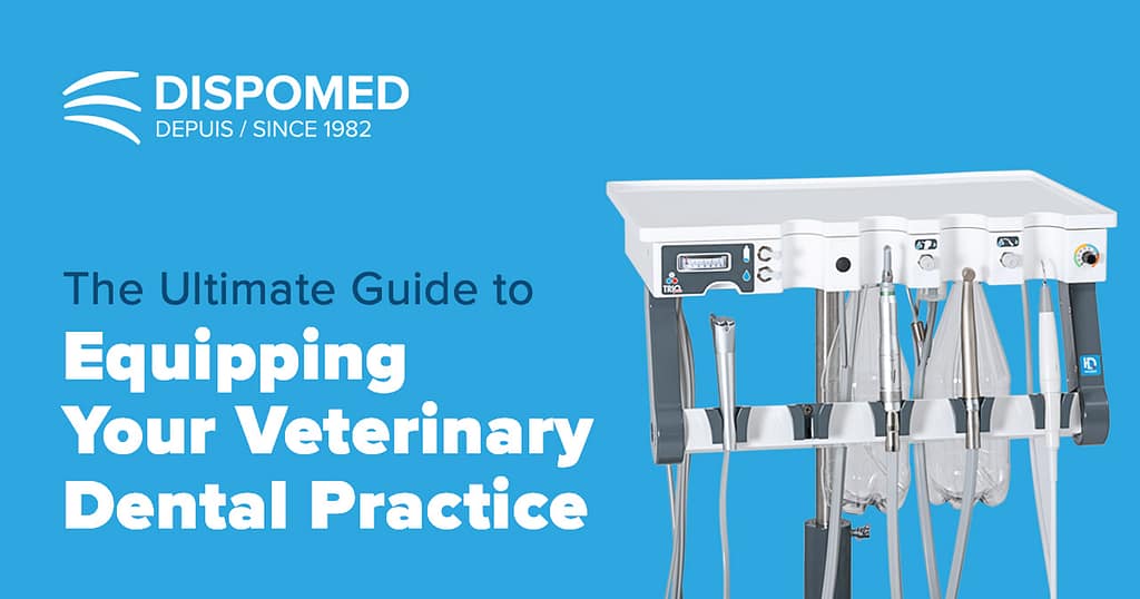 The Ultimate Guide to Equipping Your Veterinary Dental Practice