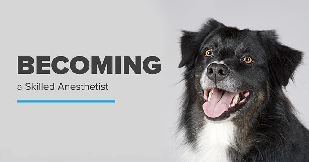 Becoming a Skilled Anesthetist