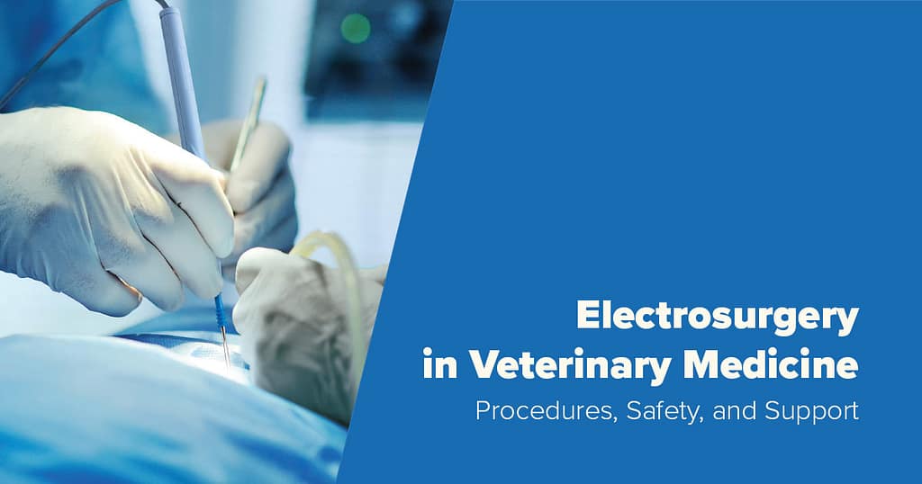 Explore the Power of Electrosurgery: Enhancing Patient Outcomes in Veterinary Practice