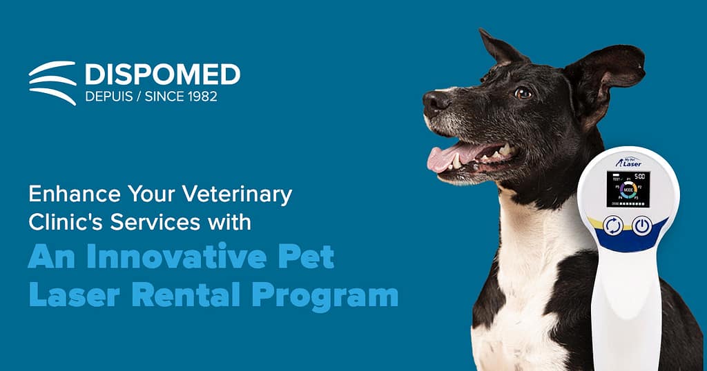Enhance Your Veterinary Clinic’s Services with Therapeutic Laser: Introducing Pet Laser Rental Program