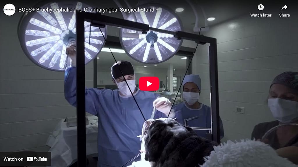 How Can you Improve your Airway Corrective Surgery Technique