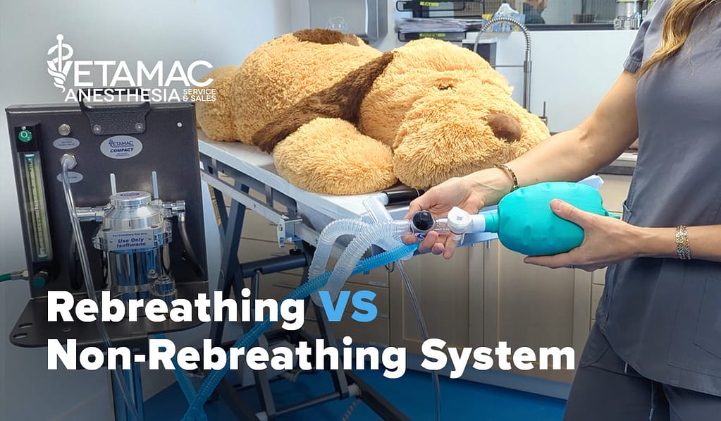 Rebreathing vs non-rebreathing