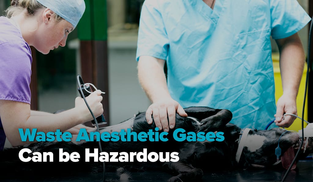 Waste Anesthetic Gases Safeguard