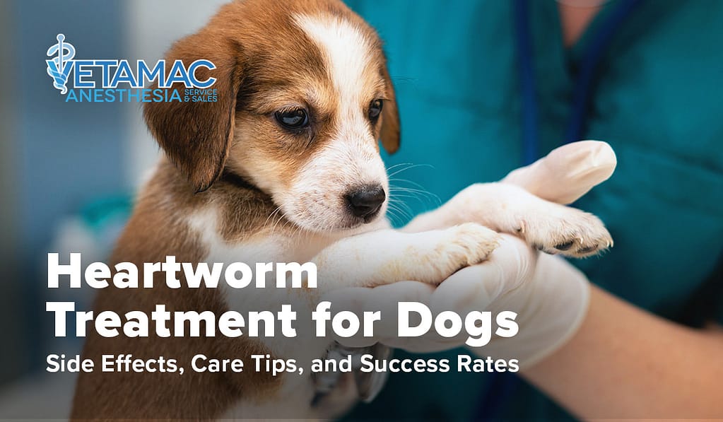 Dog Heartworm Treatment