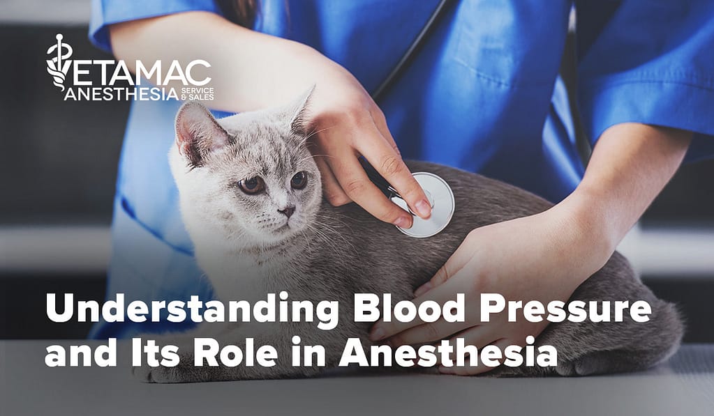 Vol 3 Blood Pressure