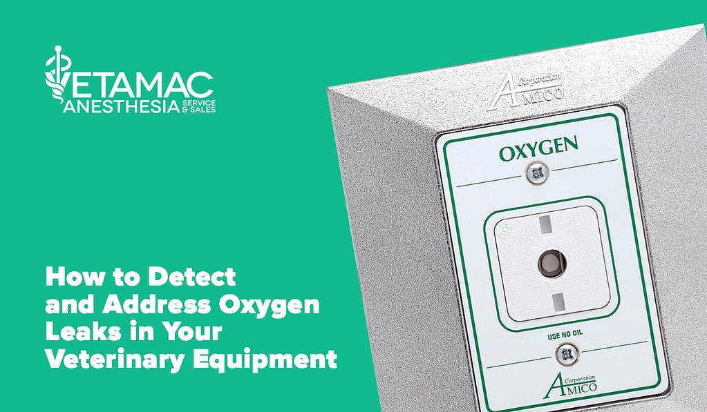 How to Detect and Address Oxygen Leaks in Your Veterinary Equipment