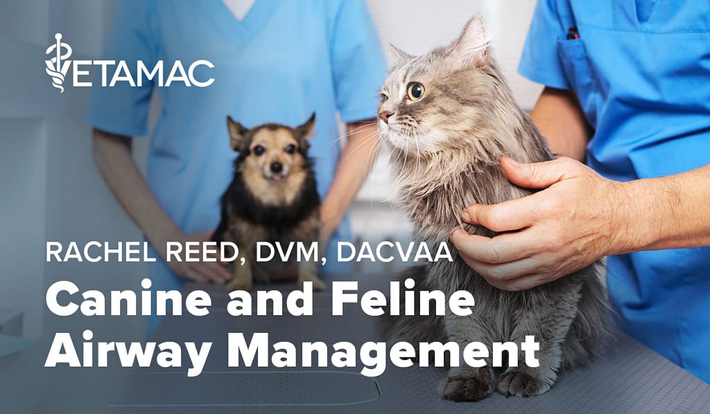 Canine and Feline Airway Management