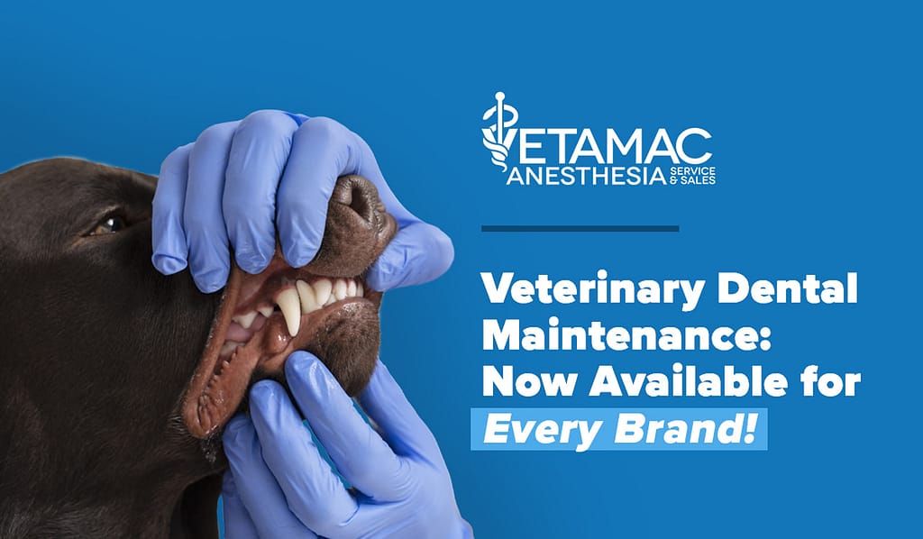 Veterinary Dental Maintenance: Now available for every brand!