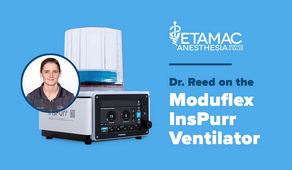 Dr Reed on the Moduflex insPurr