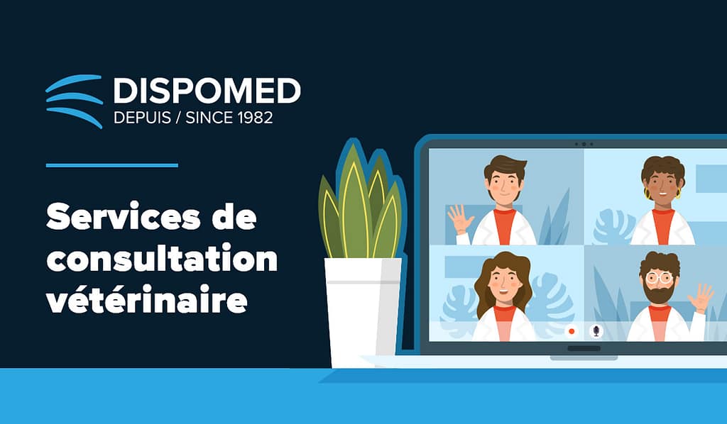 Consultation Vétérinaire