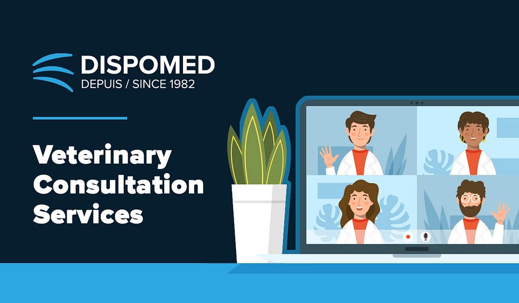 Veterinary Consultation