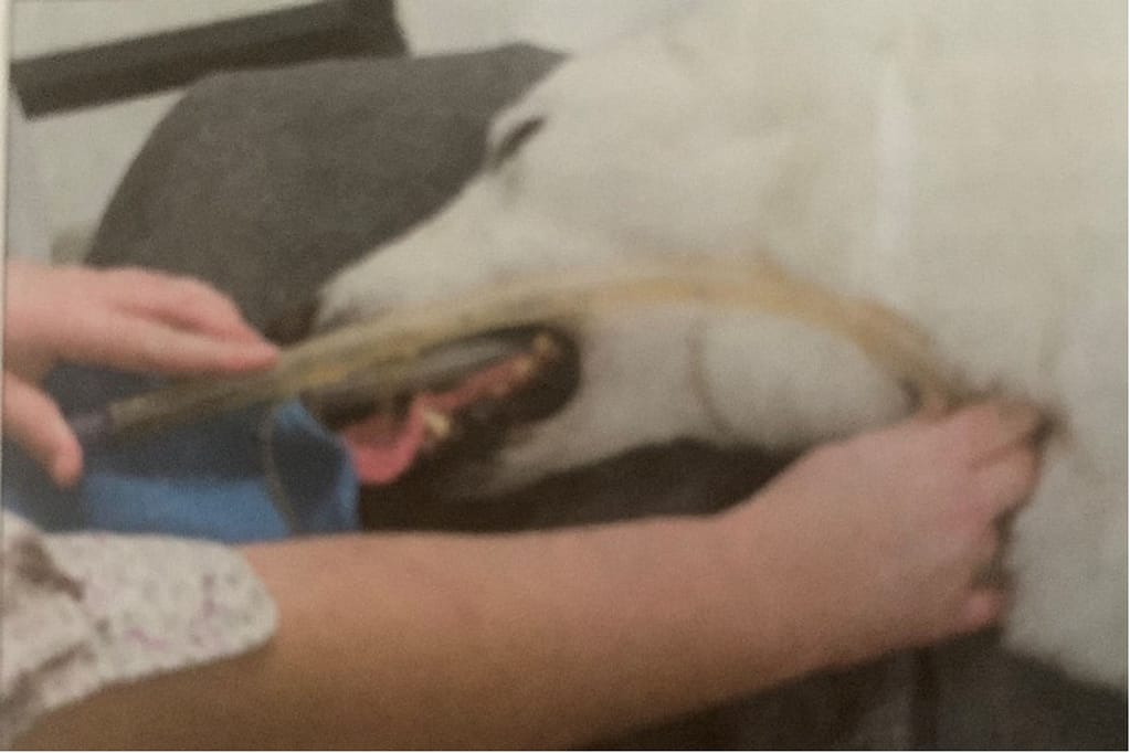 Troubleshooting checklist