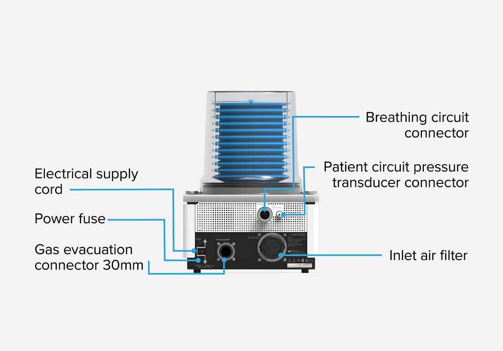 border-img Rear View insPurr