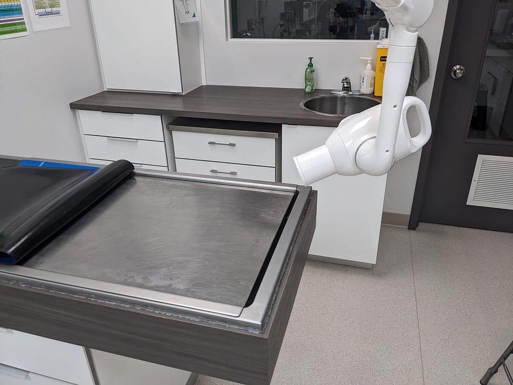 Dentistry Radiography Example Dentistry Radiography Example