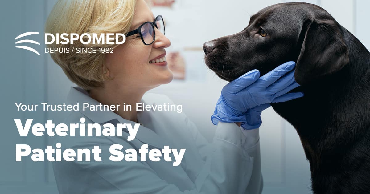 Dispomed: Your Trusted Partner in Elevating Veterinary Patient Safety