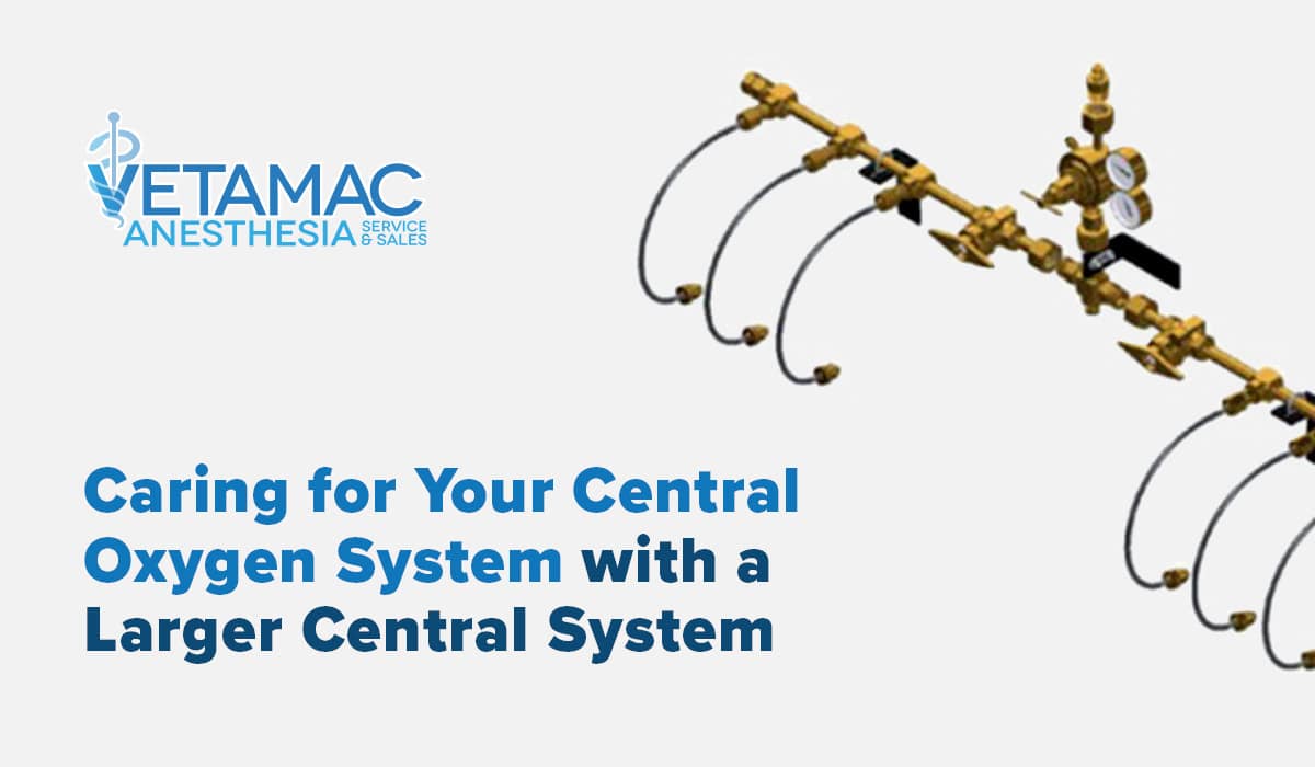 Caring for your Oxygen System