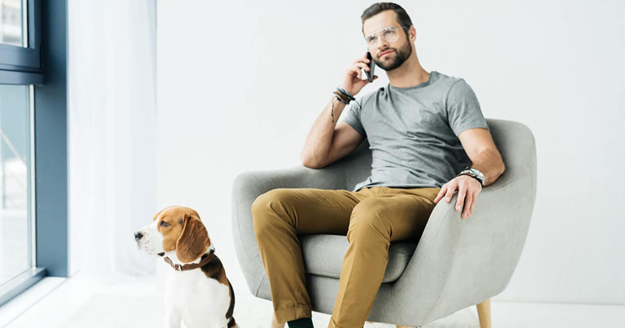 Veterinary Triage Protocol Best Practices