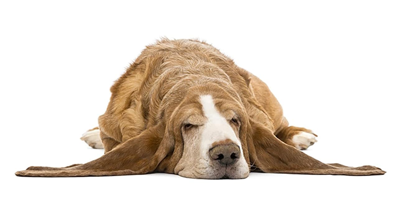 4 Tips to Reduce Risks of Anesthesia