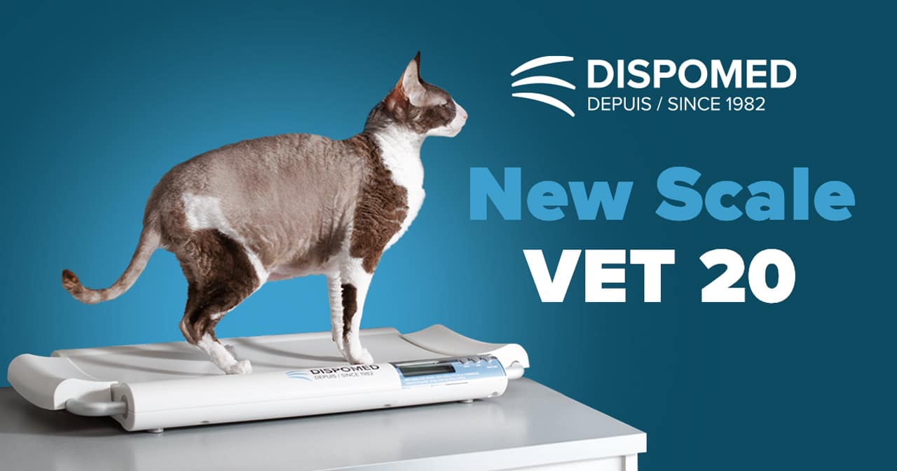 New VET 20 scale: a precise and practical solution for weighing cats and small animals