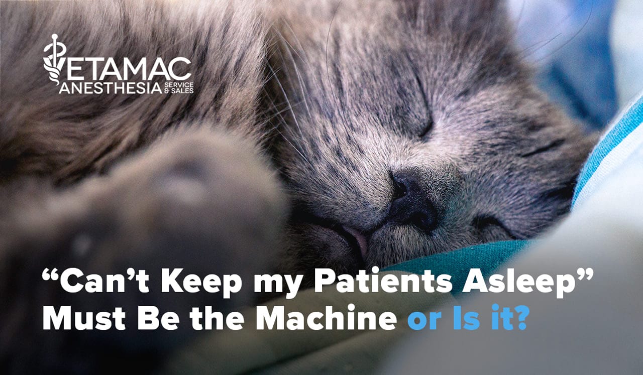 Vol XII - Cant keep patient asleep