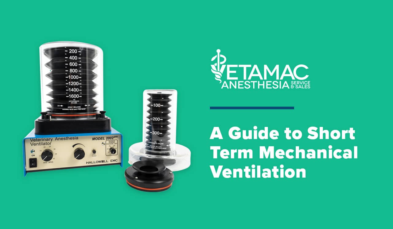 Vol XIII Short Term Mechanical Ventilation