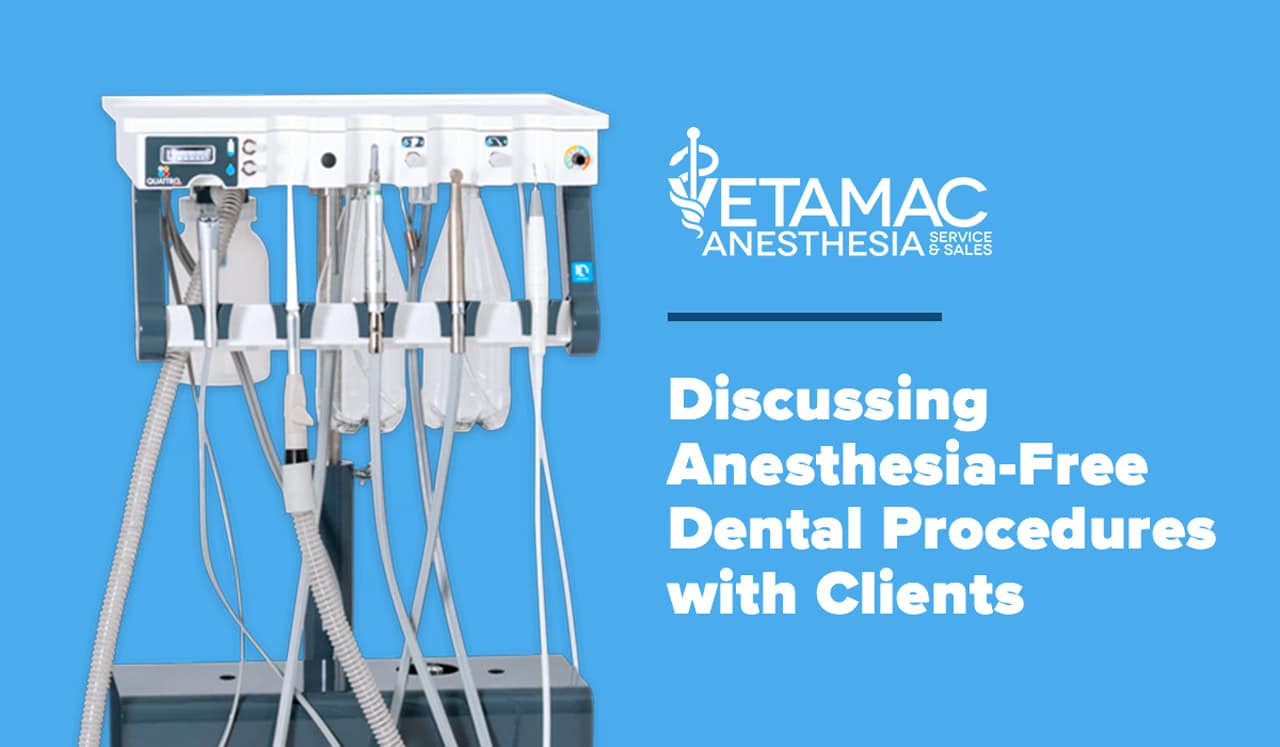 Anesthesia-free Dental Procedures
