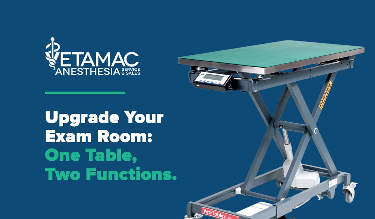 Scissor Table with Built-in Scale
