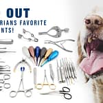 Veterinary dental instruments purchase guide 2021